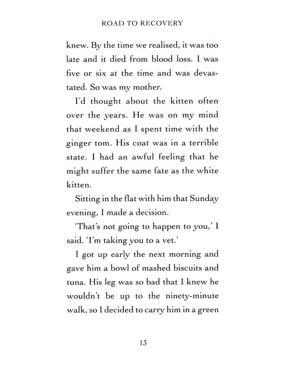 Bob. No Ordinary Cat