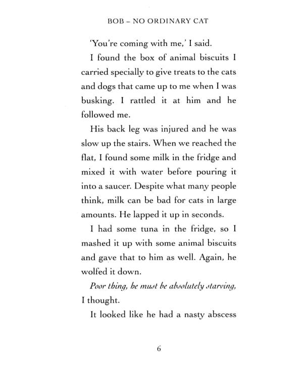 Bob. No Ordinary Cat