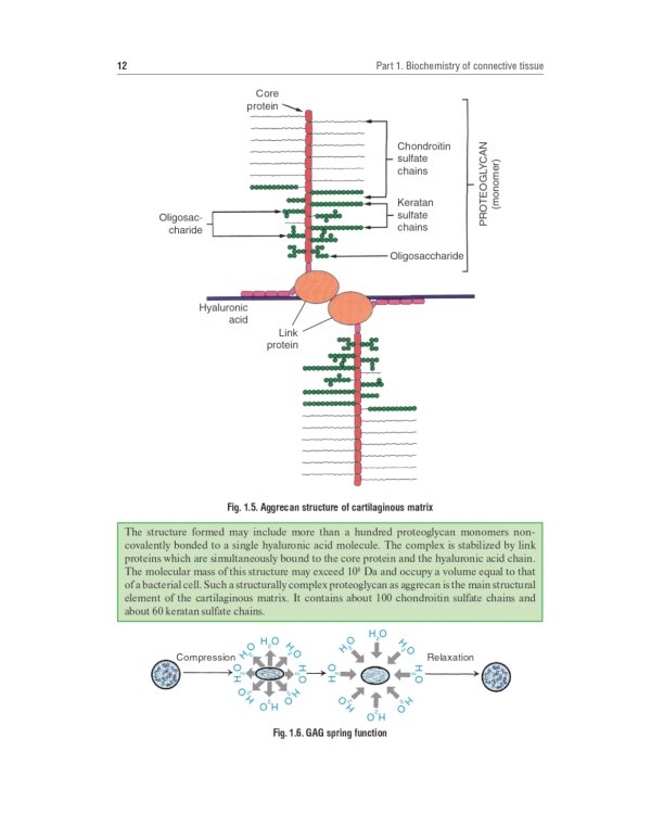 Biochemistry of the connective tissue. Biochemistry of mixed saliva: tutorial