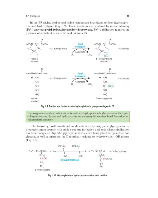 Biochemistry of the connective tissue. Biochemistry of mixed saliva: tutorial