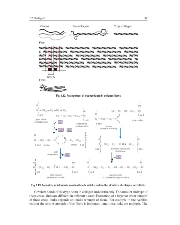 Biochemistry of the connective tissue. Biochemistry of mixed saliva: tutorial