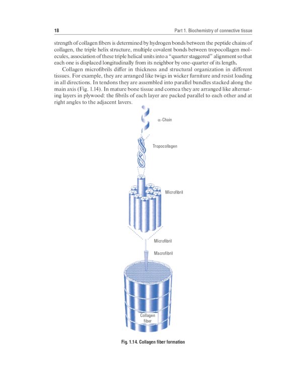 Biochemistry of the connective tissue. Biochemistry of mixed saliva: tutorial