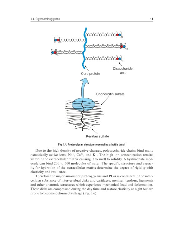 Biochemistry of the connective tissue. Biochemistry of mixed saliva: tutorial