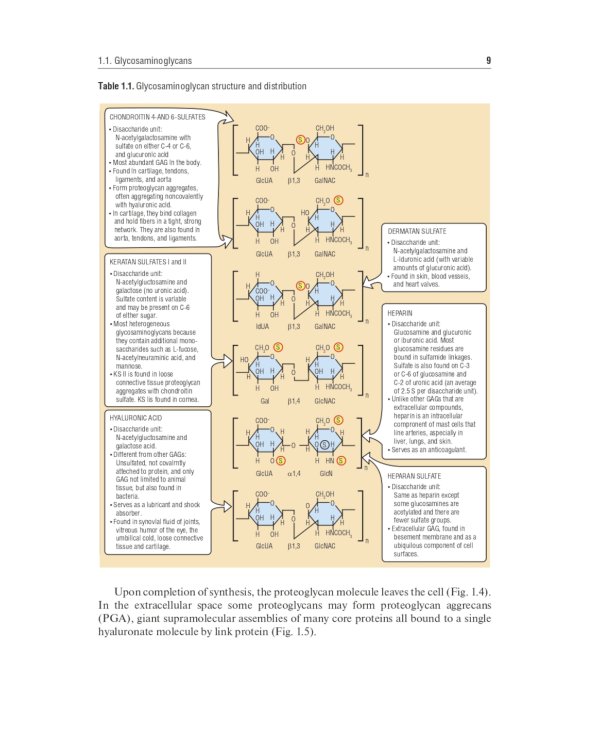 Biochemistry of the connective tissue. Biochemistry of mixed saliva: tutorial