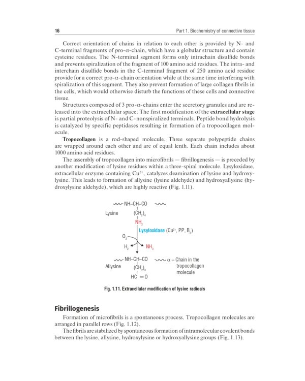 Biochemistry of the connective tissue. Biochemistry of mixed saliva: tutorial