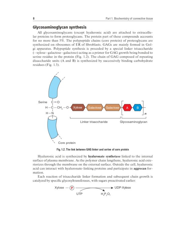Biochemistry of the connective tissue. Biochemistry of mixed saliva: tutorial