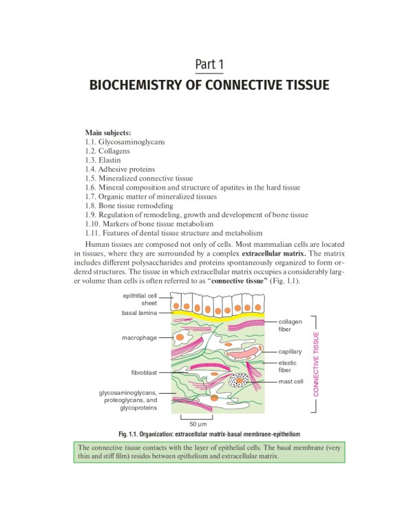 Biochemistry of the connective tissue. Biochemistry of mixed saliva: tutorial