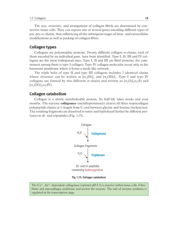 Biochemistry of the connective tissue. Biochemistry of mixed saliva: tutorial
