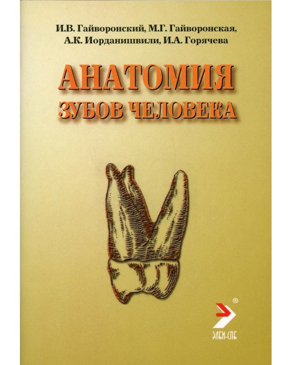 Анатомия зубов человека: Учебное пособие. 4-е изд., испр. и доп