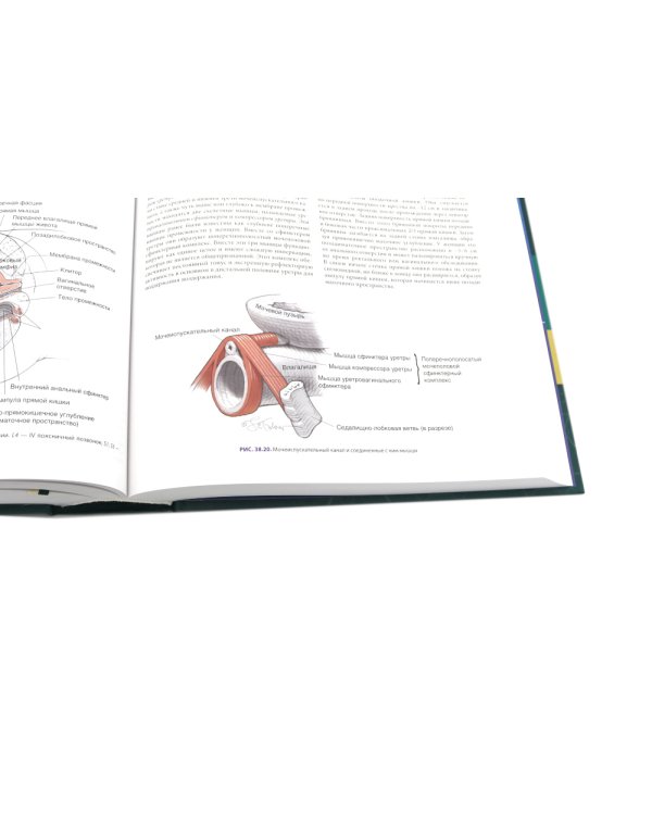 Гинекология по Уильямсу + Оперативная гинекология по Те Линде (комплект из 2-х книг)