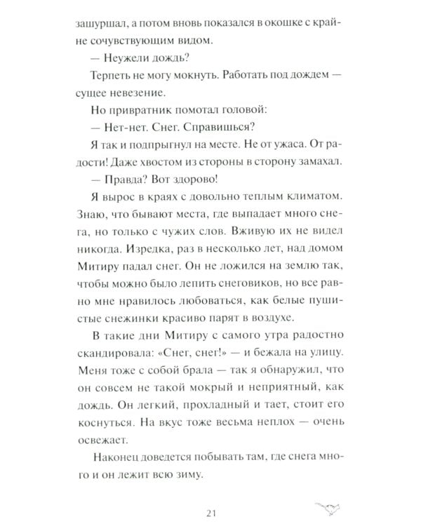 Рыжий кот Фута и затерянный домик в горах