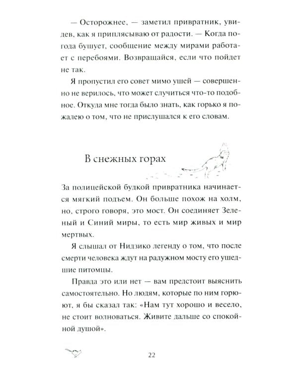 Рыжий кот Фута и затерянный домик в горах