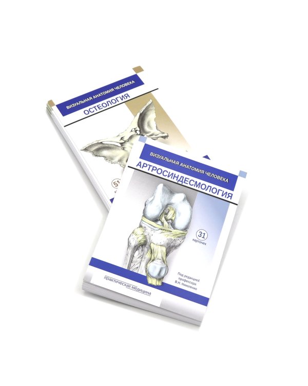Визуальная анатомия человека: Остеология; Артросиндесмология (Карточки) (комплект)