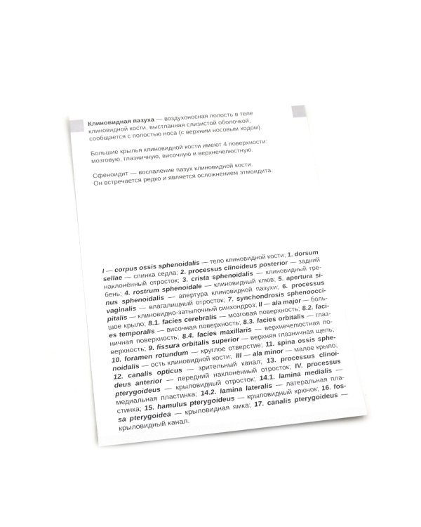 Визуальная анатомия человека: Остеология; Артросиндесмология (Карточки) (комплект)