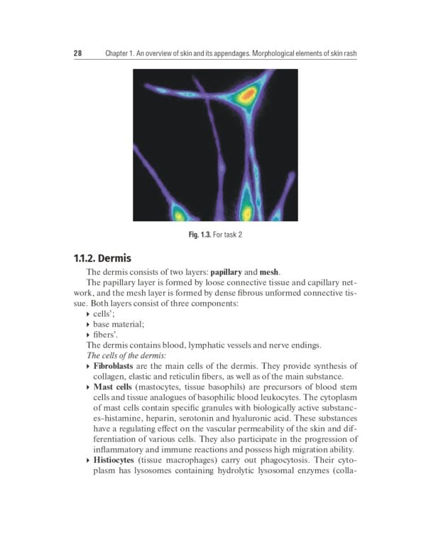 Dermatovenerology: textbook: на англ.яз