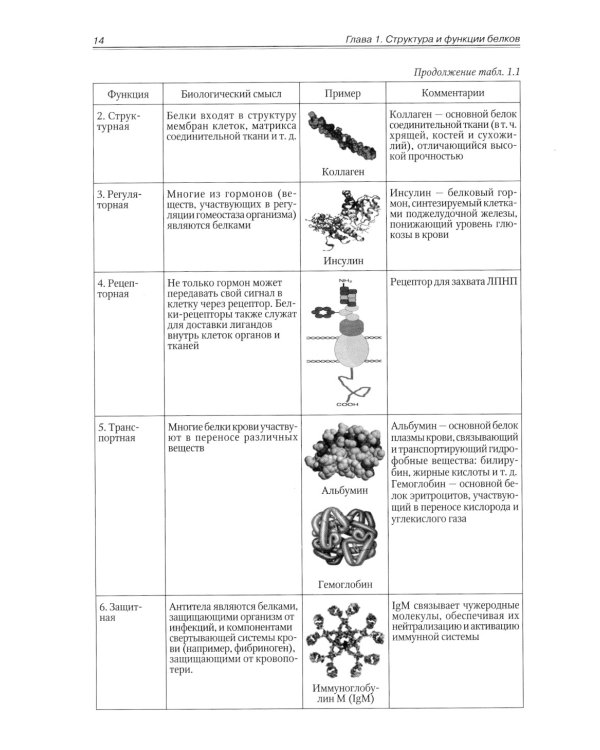 Биохимия. Метаболические аспекты биохимии детского возраста. Учебник для студентов медицинских вузов