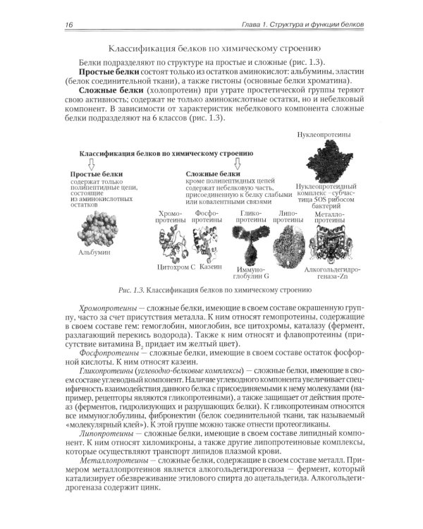 Биохимия. Метаболические аспекты биохимии детского возраста. Учебник для студентов медицинских вузов