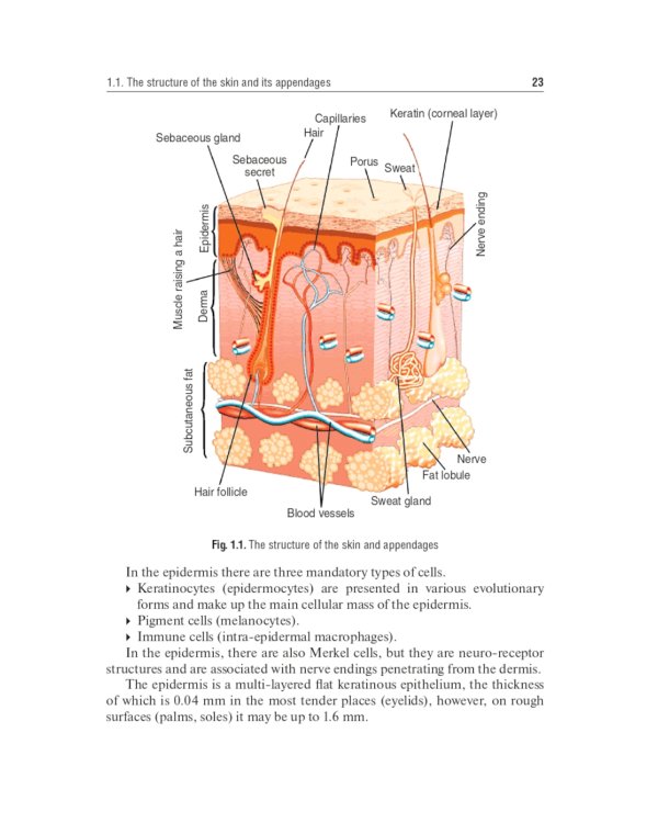 Dermatovenerology: textbook: на англ.яз