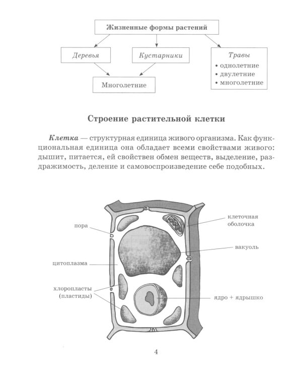 Справочник школьника по биологии. 6-11 кл
