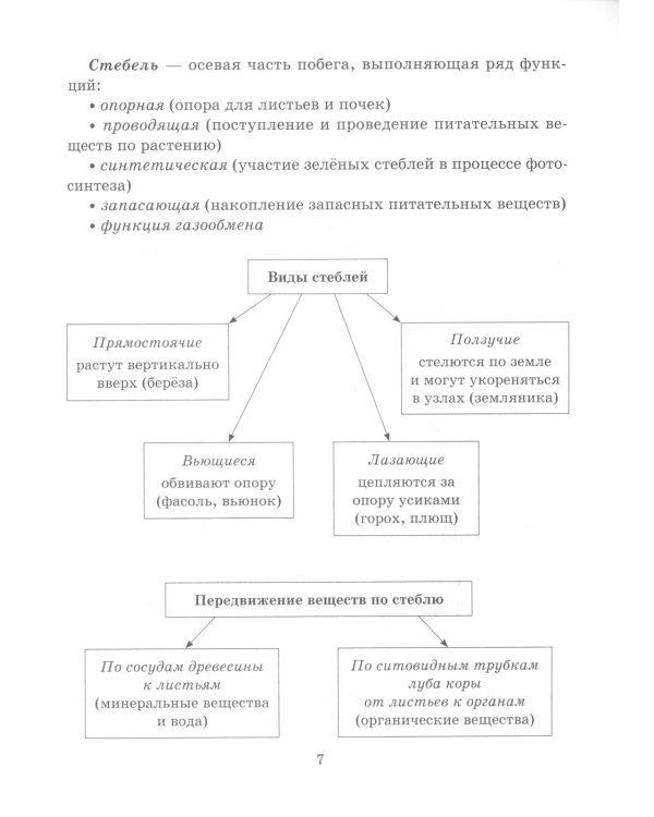 Справочник школьника по биологии. 6-11 кл