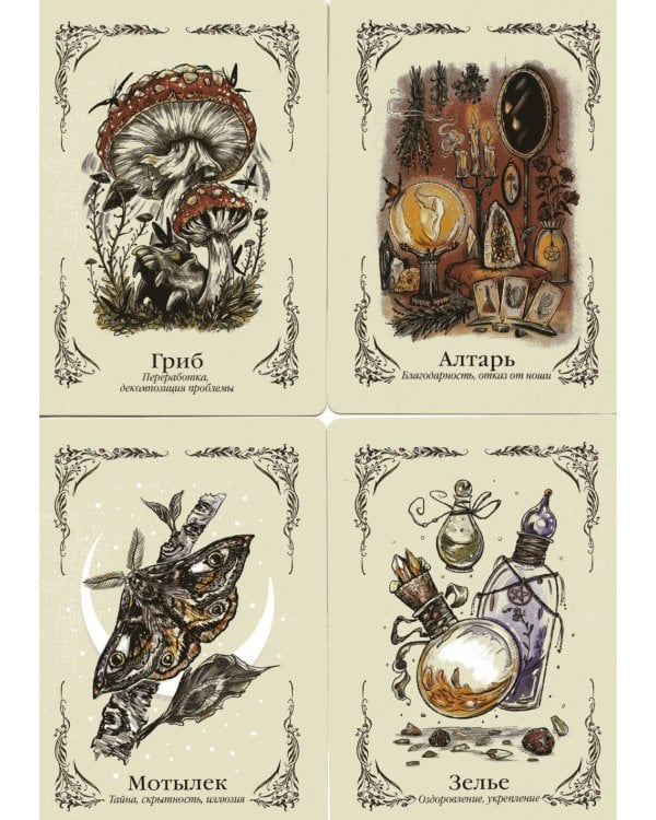Зеленая ведьма. Колода-оракул. Откройте для себя силу и мудрость природной магии (50 карт и руководство)
