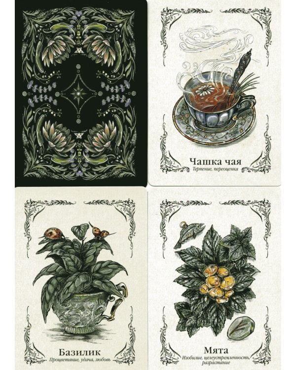 Зеленая ведьма. Колода-оракул. Откройте для себя силу и мудрость природной магии (50 карт и руководство)