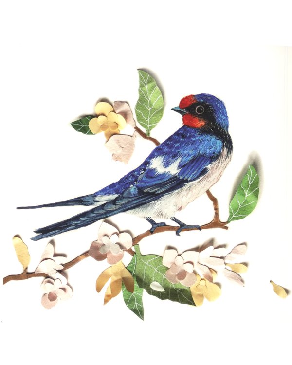 Где твоя птица?