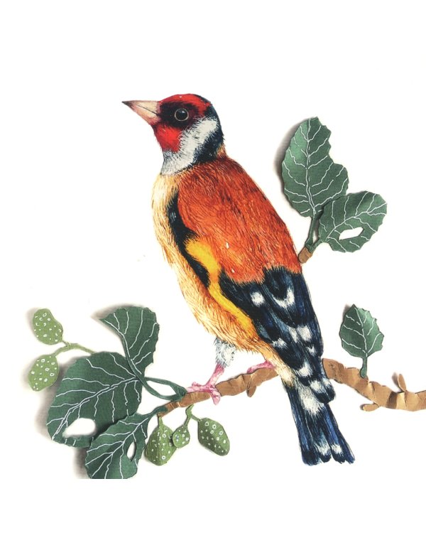 Где твоя птица?