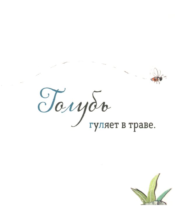Где твоя птица?