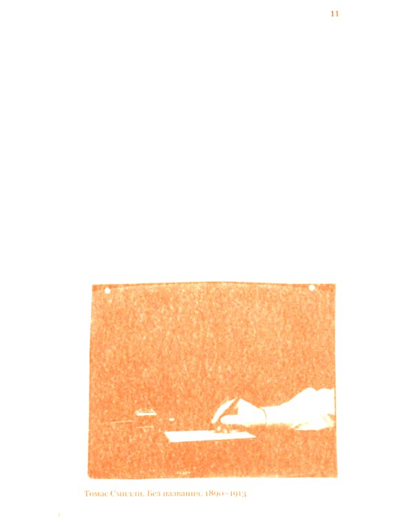 Красная штора Болоньи