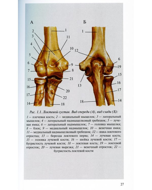 Лучевая диагностика заболеваний и повреждений локтевого сустава. 3-е изд., испр