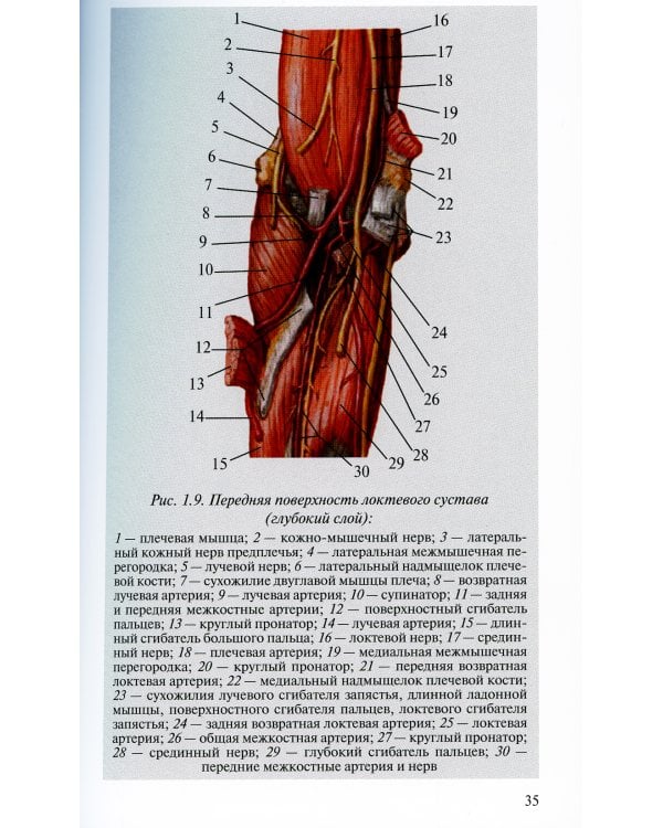 Лучевая диагностика заболеваний и повреждений локтевого сустава. 3-е изд., испр