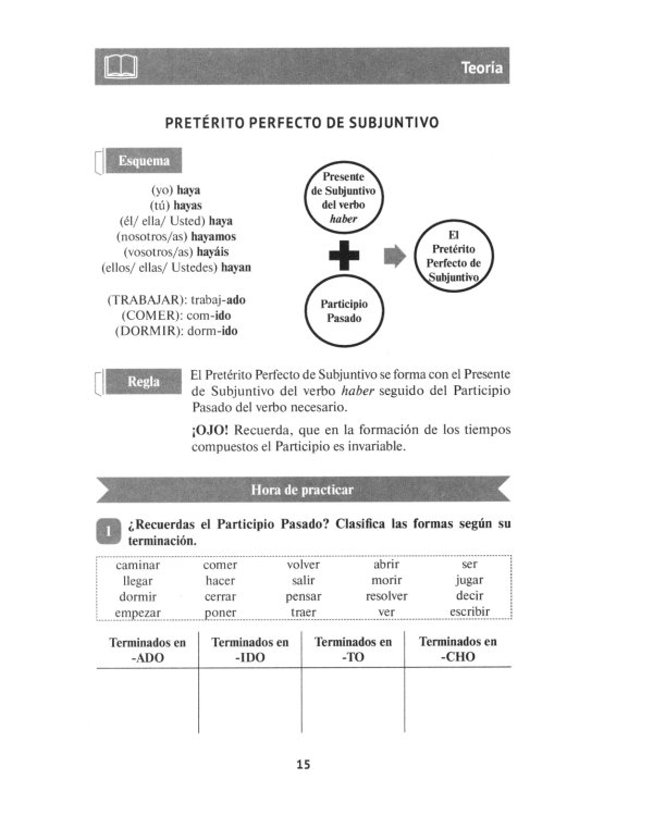 Practicamos el Subjuntivo: Учебник по испанскому языку