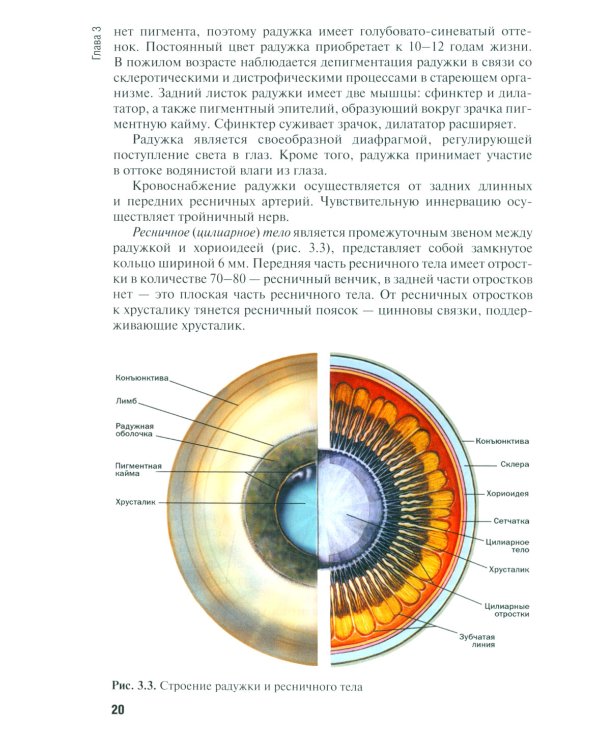 Диагностика и лечение пациентов офтальмологического профиля: Учебник