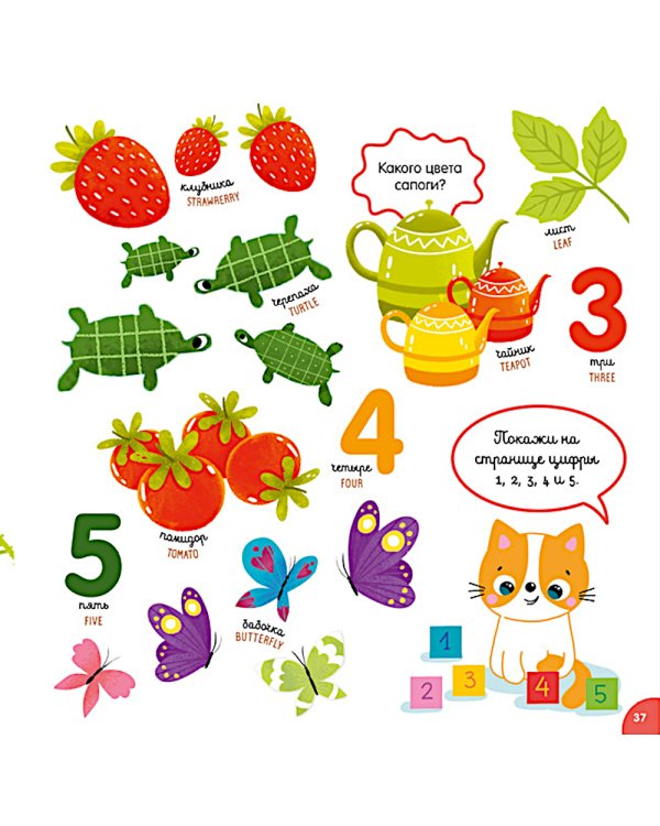 Мой первый английский в картинках