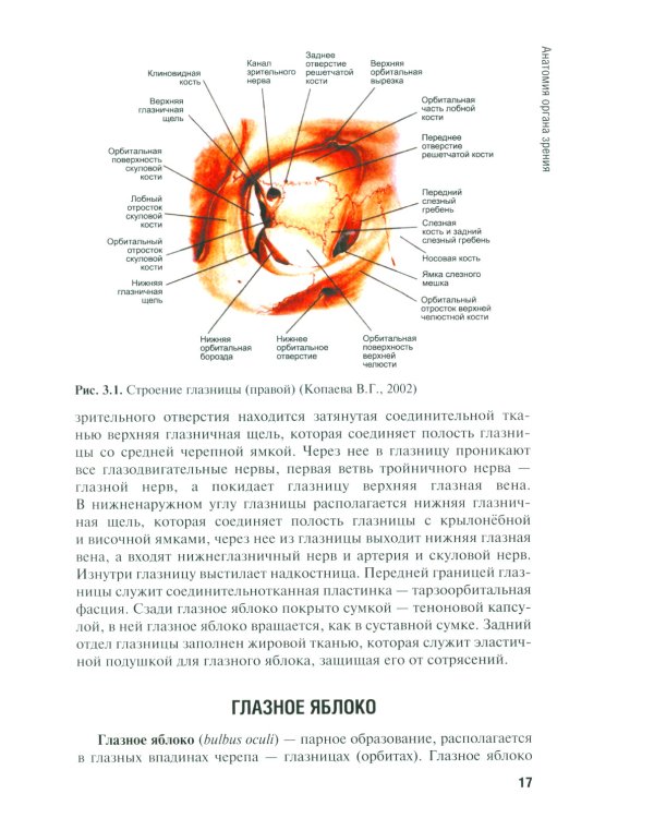 Диагностика и лечение пациентов офтальмологического профиля: Учебник