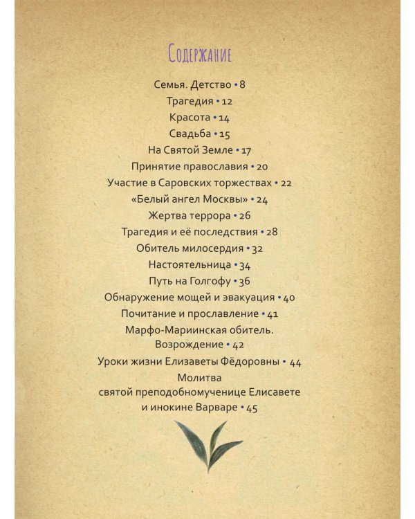 Преподобномученица Елисавета Федоровна. Научись у святой. 3-е изд