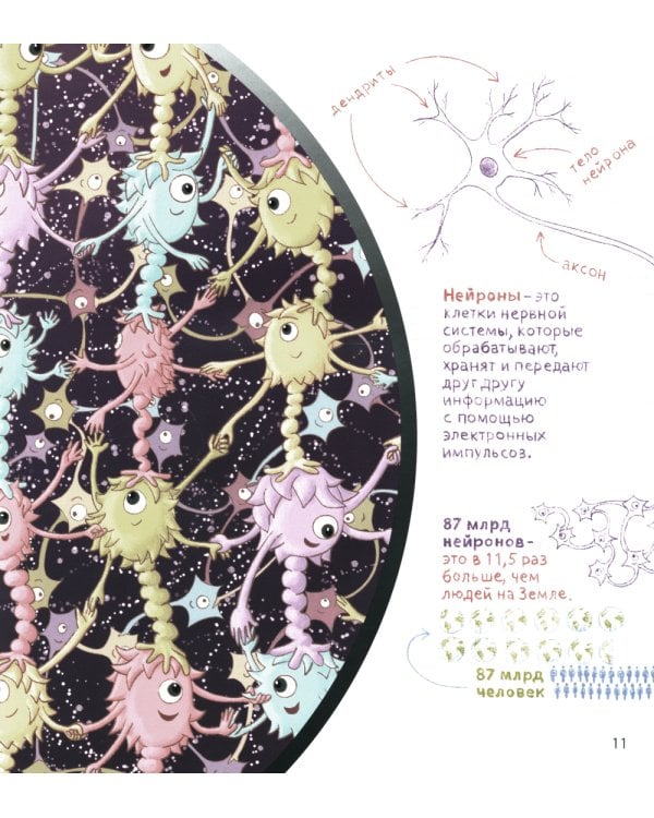 Как устроен мозг? Книга о том, зачем учиться чему-то новому каждый день