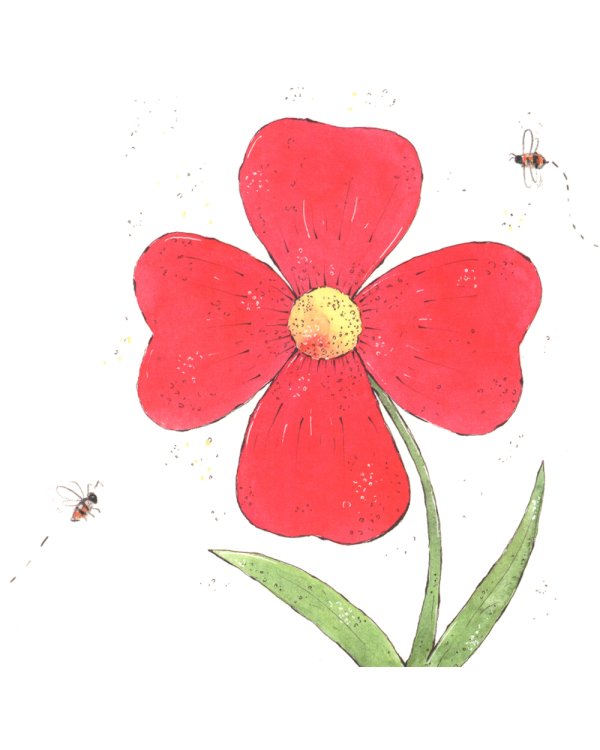 Где твой цветок?