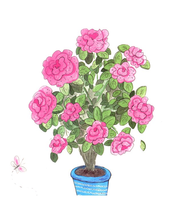 Где твой цветок?