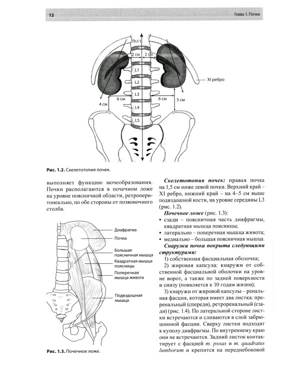 Остеопатическая коррекция измененных функций мочеполовой системы: руководство для врачей