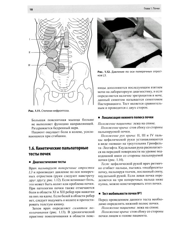 Остеопатическая коррекция измененных функций мочеполовой системы: руководство для врачей