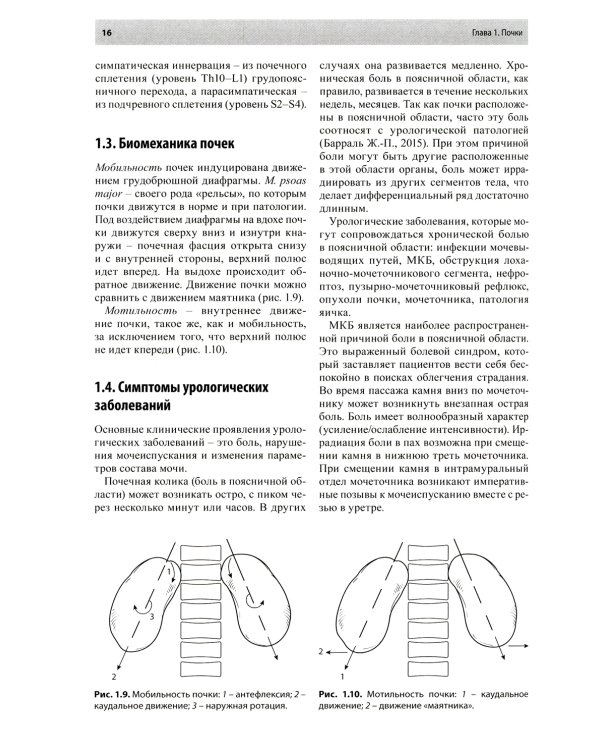 Остеопатическая коррекция измененных функций мочеполовой системы: руководство для врачей