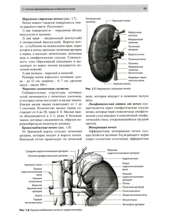 Остеопатическая коррекция измененных функций мочеполовой системы: руководство для врачей