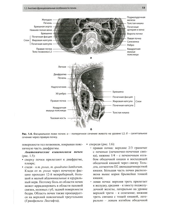 Остеопатическая коррекция измененных функций мочеполовой системы: руководство для врачей