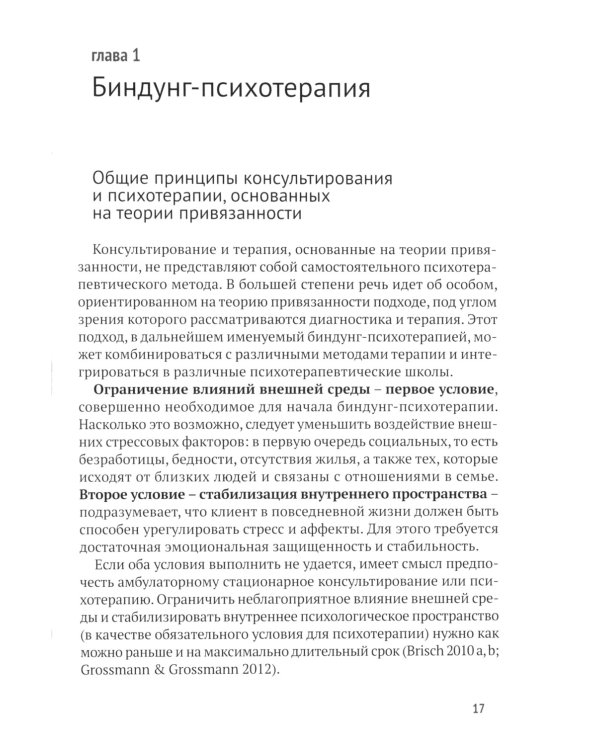 Биндунг-психотерапия: беременность и роды. 2-е изд