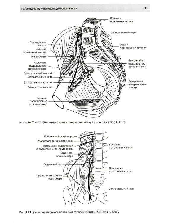 Остеопатическая коррекция измененных функций мочеполовой системы: руководство для врачей