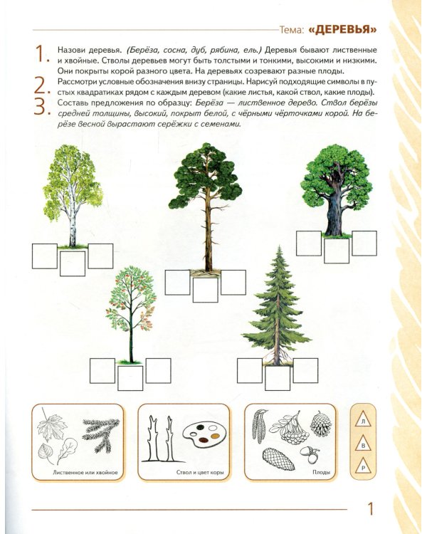Развиваем связную речь у детей 5-6 лет с ОНР. Альбом 1. Мир растений