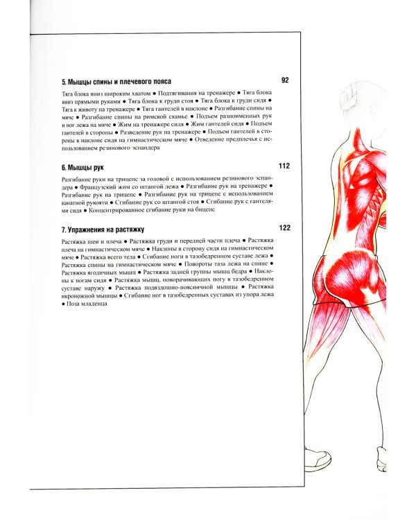 Анатомия фитнеса и силовых упражнений для женщин