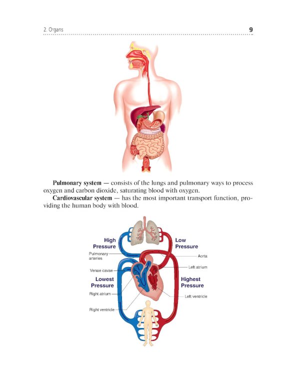 Английский язык для фельдшеров: учебник